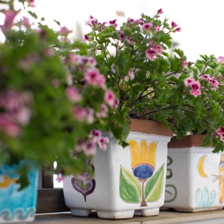 Planters
