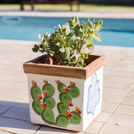 Square Pots